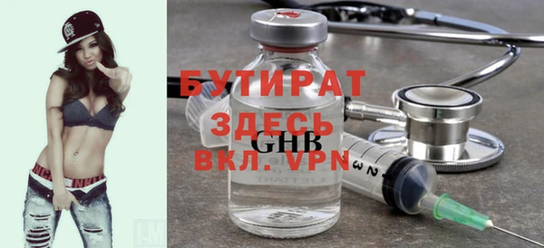 индика Бородино