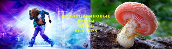 индика Бородино