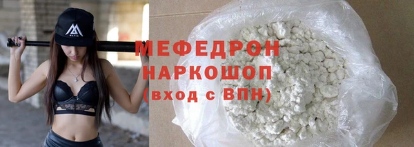 индика Бородино