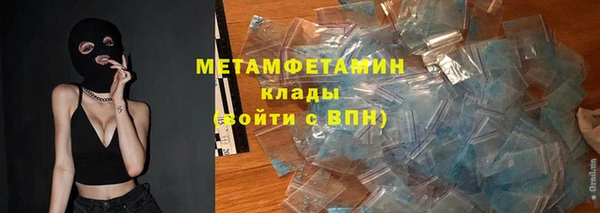 индика Бородино