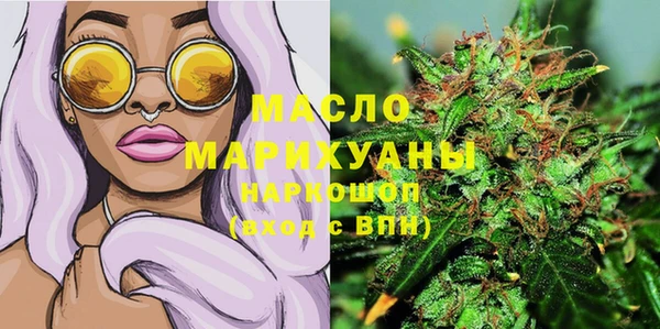 индика Бородино