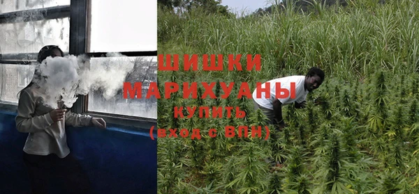 индика Бородино
