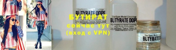 индика Бородино