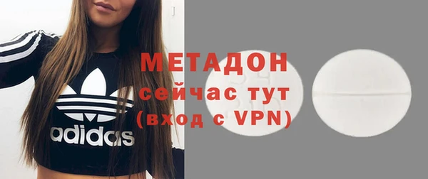 индика Бородино