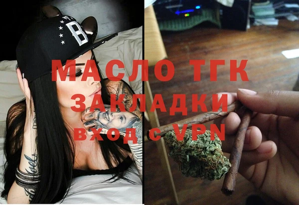 индика Бородино