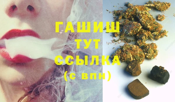 индика Бородино