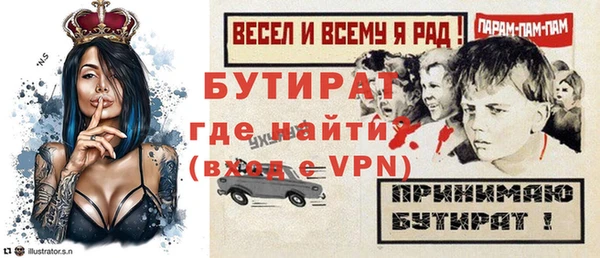 индика Бородино