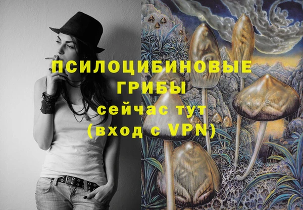 индика Бородино