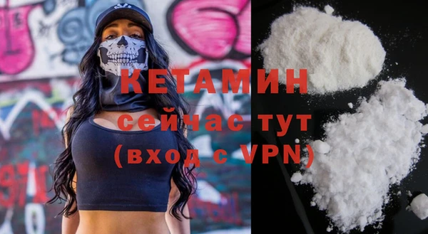 индика Бородино