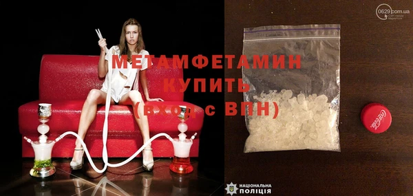 индика Бородино