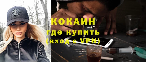 индика Бородино
