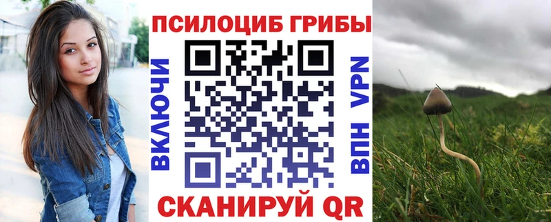 Галлюциногенные грибы Cubensis  Купить где  Лангепас 