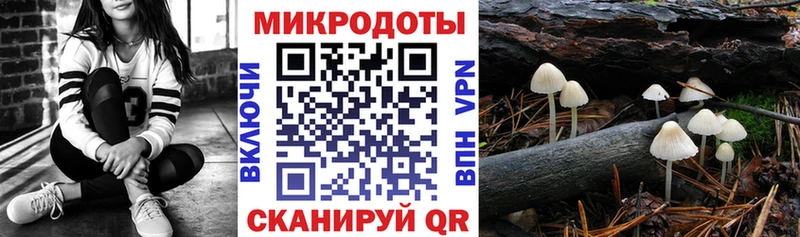 Галлюциногенные грибы прущие грибы Лангепас